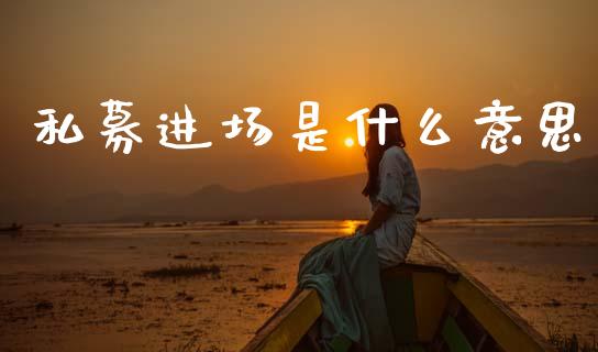 私募进场是什么意思_https://wap.fcdydaikuan.com_金融机构_第1张