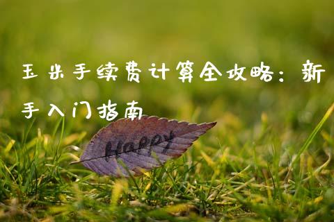 玉米手续费计算全攻略：新手入门指南_https://wap.fcdydaikuan.com_期货品种_第1张