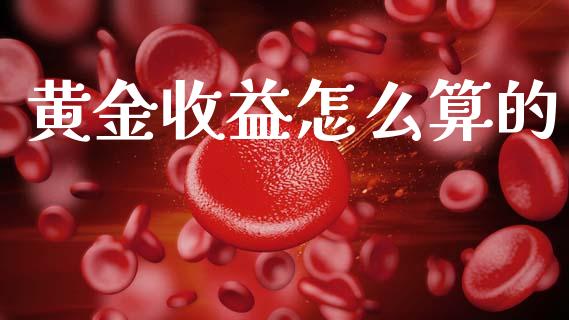 黄金收益怎么算的_https://wap.fcdydaikuan.com_金融机构_第1张