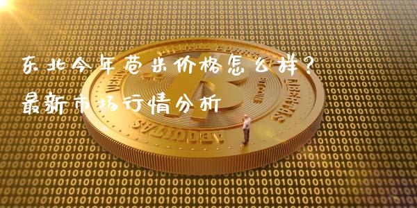 东北今年苞米价格怎么样？最新市场行情分析_https://wap.fcdydaikuan.com_投资策略_第1张