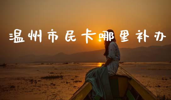 温州市民卡哪里补办_https://wap.fcdydaikuan.com_理财顾问_第1张