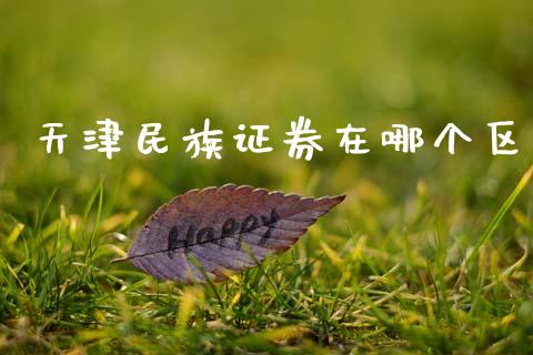 天津民族证券在哪个区_https://wap.fcdydaikuan.com_期货品种_第1张