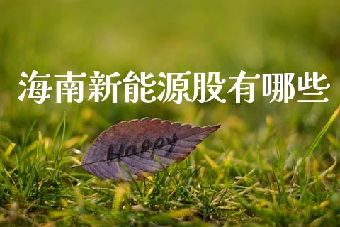 海南新能源股有哪些_https://wap.fcdydaikuan.com_期货品种_第1张
