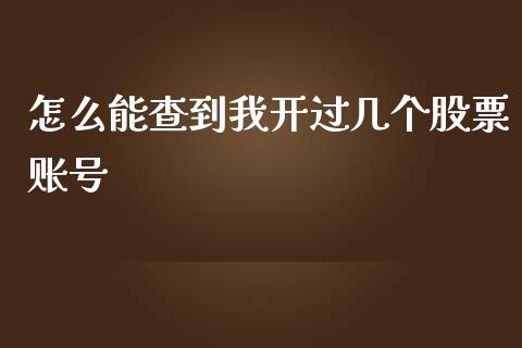 怎么能查到我开过几个股票账号_https://wap.fcdydaikuan.com_投资策略_第1张