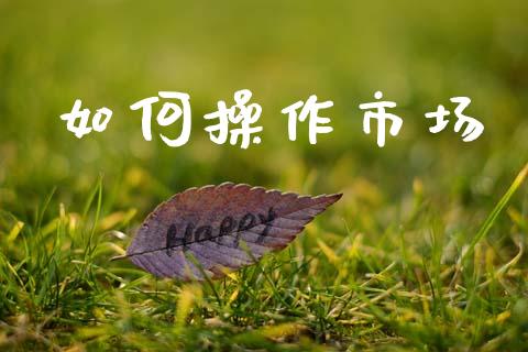 如何操作市场_https://wap.fcdydaikuan.com_投资策略_第1张