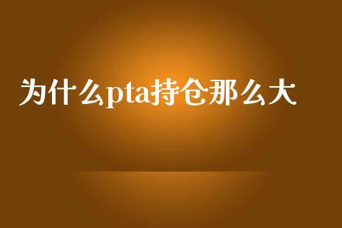 为什么pta持仓那么大_https://wap.fcdydaikuan.com_理财顾问_第1张