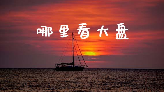 哪里看大盘_https://wap.fcdydaikuan.com_理财顾问_第1张