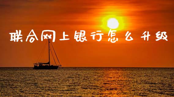 联合网上银行怎么升级_https://wap.fcdydaikuan.com_理财顾问_第1张