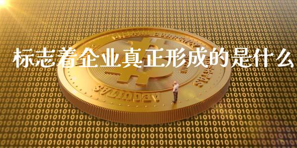 标志着企业真正形成的是什么_https://wap.fcdydaikuan.com_理财顾问_第1张