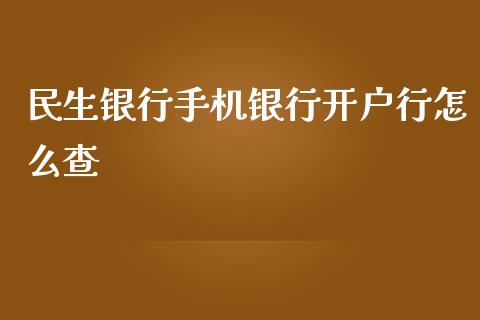 民生银行手机银行开户行怎么查_https://wap.fcdydaikuan.com_国际投资_第1张