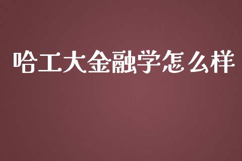 哈工大金融学怎么样_https://wap.fcdydaikuan.com_期货品种_第1张