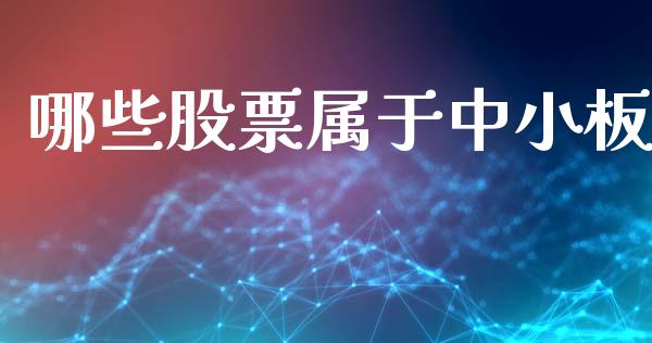 哪些股票属于中小板_https://wap.fcdydaikuan.com_金融机构_第1张
