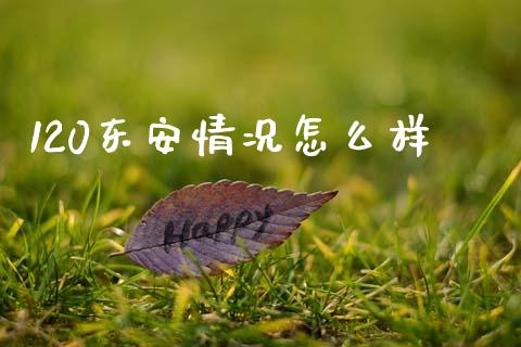 120东安情况怎么样_https://wap.fcdydaikuan.com_新股数据_第1张