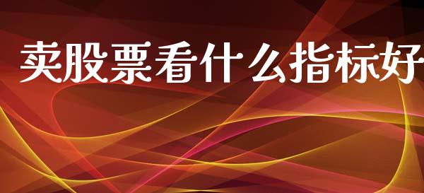 卖股票看什么指标好_https://wap.fcdydaikuan.com_国际投资_第1张