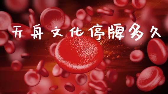 天舟文化停牌多久_https://wap.fcdydaikuan.com_新股数据_第1张