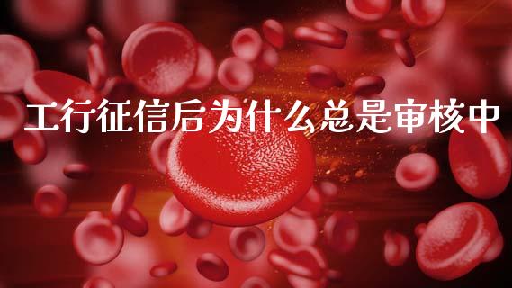 工行征信后为什么总是审核中_https://wap.fcdydaikuan.com_新股数据_第1张