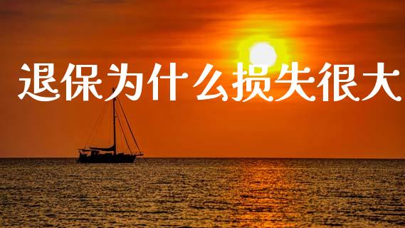 退保为什么损失很大_https://wap.fcdydaikuan.com_期货品种_第1张
