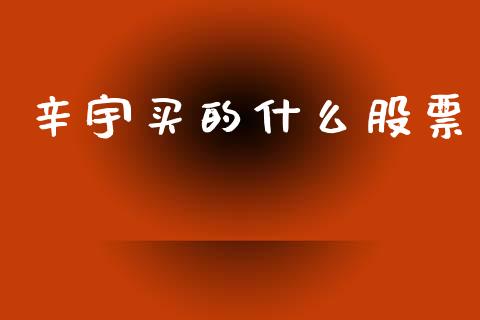 辛宇买的什么股票_https://wap.fcdydaikuan.com_国际投资_第1张
