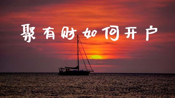 聚有财如何开户_https://wap.fcdydaikuan.com_金融机构_第1张