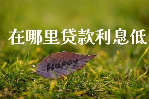 在哪里贷款利息低_https://wap.fcdydaikuan.com_投资策略_第1张