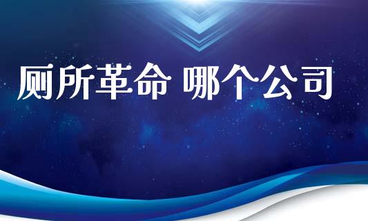 厕所革命 哪个公司_https://wap.fcdydaikuan.com_新股数据_第1张