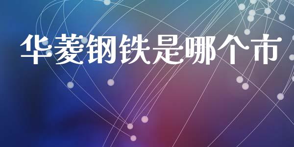 华菱钢铁是哪个市_https://wap.fcdydaikuan.com_金融机构_第1张
