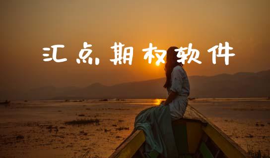 汇点期权软件_https://wap.fcdydaikuan.com_新股数据_第1张