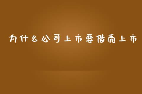 为什么公司上市要借壳上市_https://wap.fcdydaikuan.com_国际投资_第1张
