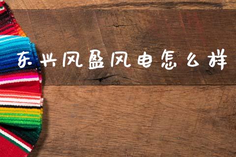 东兴风盈风电怎么样_https://wap.fcdydaikuan.com_理财顾问_第1张