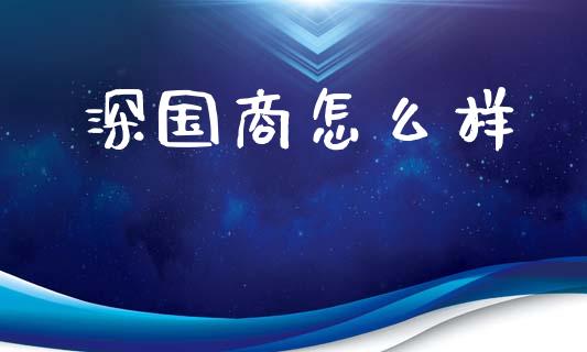 深国商怎么样_https://wap.fcdydaikuan.com_期货品种_第1张