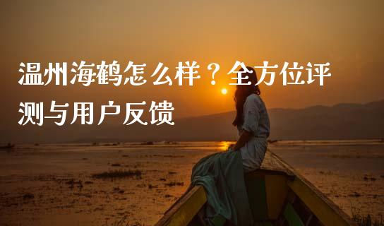 温州海鹤怎么样？全方位评测与用户反馈_https://wap.fcdydaikuan.com_理财顾问_第1张