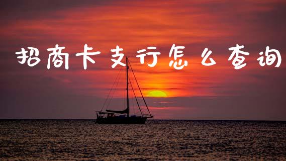 招商卡支行怎么查询_https://wap.fcdydaikuan.com_理财顾问_第1张