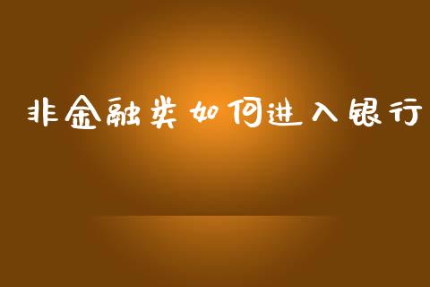 非金融类如何进入银行_https://wap.fcdydaikuan.com_新股数据_第1张