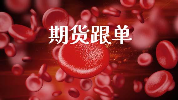 期货跟单_https://wap.fcdydaikuan.com_理财顾问_第1张