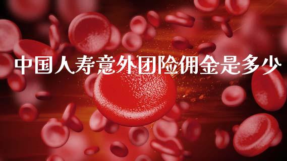 中国人寿意外团险佣金是多少_https://wap.fcdydaikuan.com_新股数据_第1张