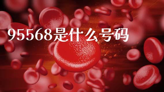 95568是什么号码_https://wap.fcdydaikuan.com_投资策略_第1张