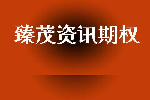 臻茂资讯期权_https://wap.fcdydaikuan.com_金融机构_第1张