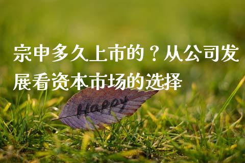 宗申多久上市的？从公司发展看资本市场的选择_https://wap.fcdydaikuan.com_投资策略_第1张