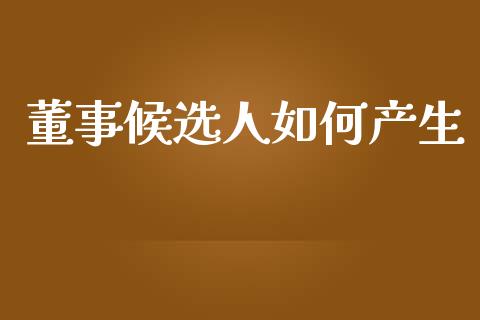 董事候选人如何产生_https://wap.fcdydaikuan.com_理财顾问_第1张