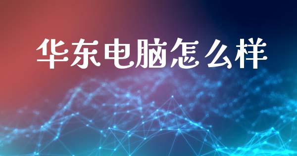 华东电脑怎么样_https://wap.fcdydaikuan.com_投资策略_第1张