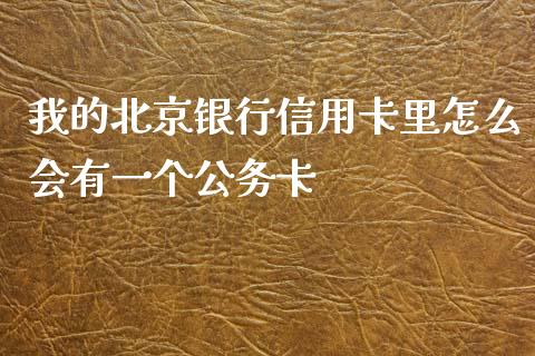 我的北京银行信用卡里怎么会有一个公务卡_https://wap.fcdydaikuan.com_国际投资_第1张