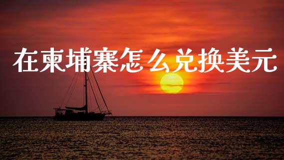 在柬埔寨怎么兑换美元_https://wap.fcdydaikuan.com_金融机构_第1张