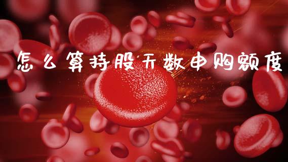 怎么算持股天数申购额度_https://wap.fcdydaikuan.com_理财顾问_第1张