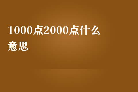 1000点2000点什么意思_https://wap.fcdydaikuan.com_理财顾问_第1张