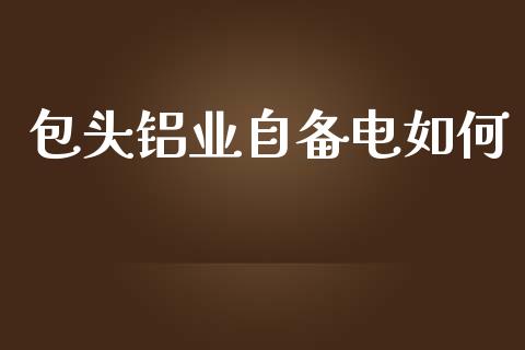 包头铝业自备电如何_https://wap.fcdydaikuan.com_理财顾问_第1张