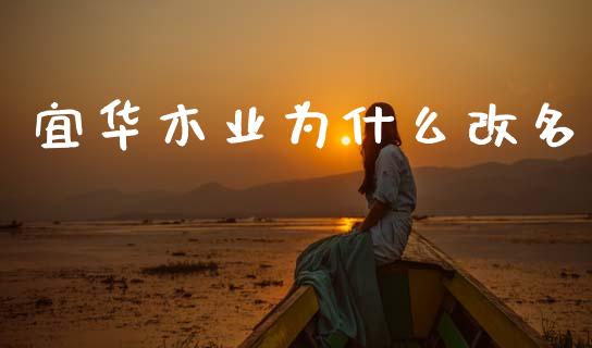 宜华木业为什么改名_https://wap.fcdydaikuan.com_期货品种_第1张