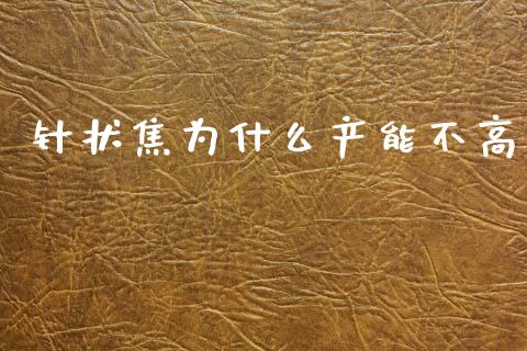 针状焦为什么产能不高_https://wap.fcdydaikuan.com_理财顾问_第1张