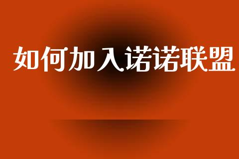 如何加入诺诺联盟_https://wap.fcdydaikuan.com_投资策略_第1张