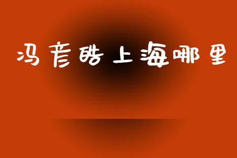 冯彦皓上海哪里_https://wap.fcdydaikuan.com_理财顾问_第1张