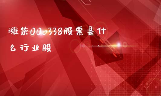 潍柴00o338股票是什么行业股_https://wap.fcdydaikuan.com_金融机构_第1张